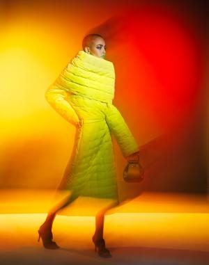 DAVID  WANG