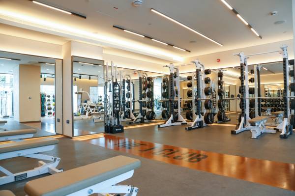 The J Club gallery